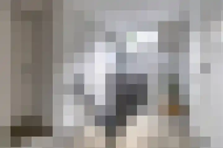 Dokter van Peltlaan 74 Bergen (NH) thumbnail 30