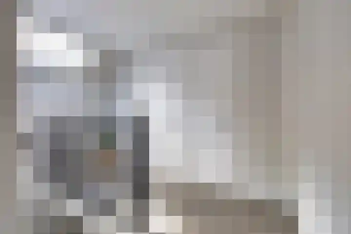 Dokter van Peltlaan 74 Bergen (NH) thumbnail 35