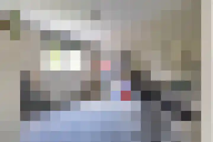 Dokter van Peltlaan 74 Bergen (NH) thumbnail 36