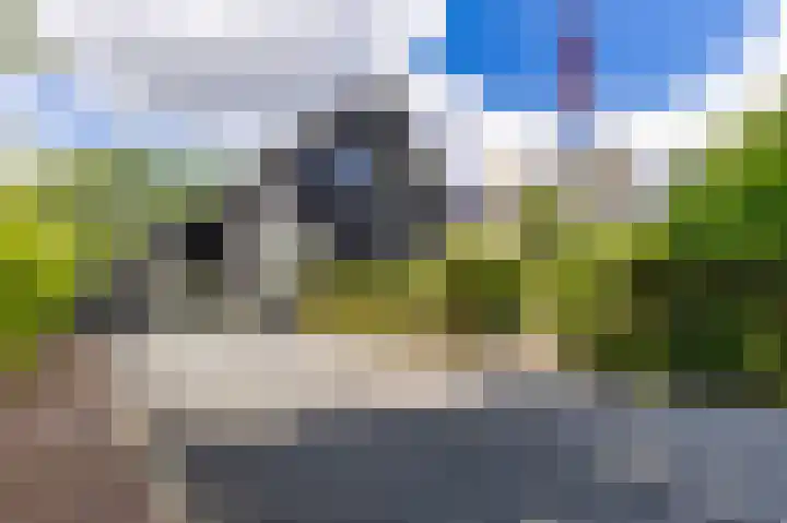 Dokter van Peltlaan 74 Bergen (NH) thumbnail 7