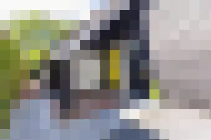 Dokter van Peltlaan 74 Bergen (NH) thumbnail 8