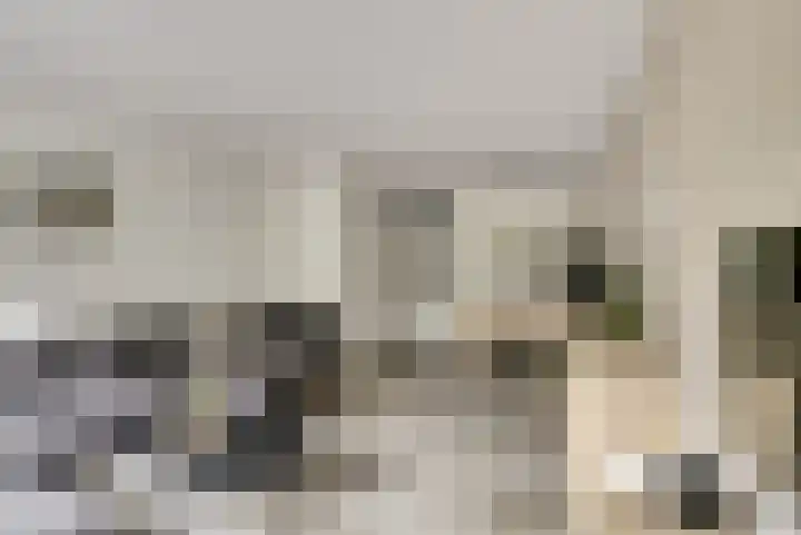 Dokter van Stratenweg 125 Gorinchem thumbnail 10