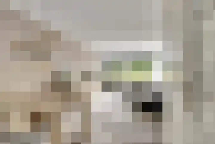 Dokter van Stratenweg 125 Gorinchem thumbnail 12