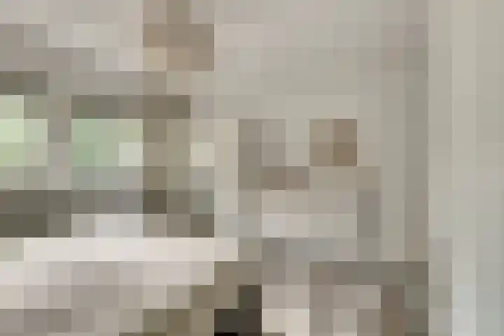 Dokter van Stratenweg 125 Gorinchem thumbnail 18