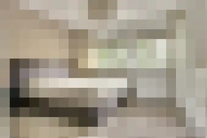 Dokter van Stratenweg 125 Gorinchem thumbnail 19