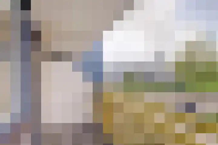 Dokter van Stratenweg 125 Gorinchem thumbnail 29