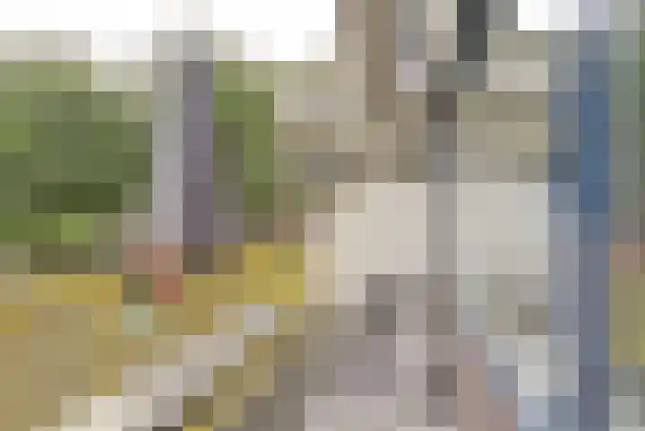 Dokter van Stratenweg 125 Gorinchem thumbnail 30