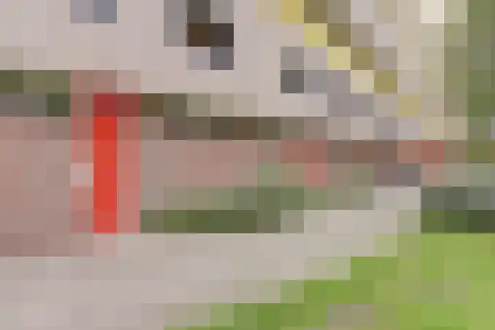 Dokter van Stratenweg 125 Gorinchem thumbnail 36