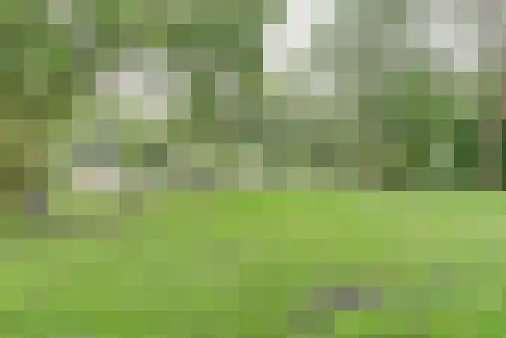 Dokter van Stratenweg 125 Gorinchem thumbnail 38