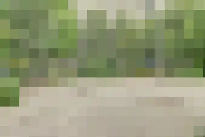 Dokter van Stratenweg 125 Gorinchem thumbnail 39