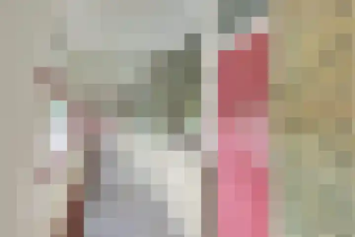 Dokter van Stratenweg 125 Gorinchem thumbnail 6