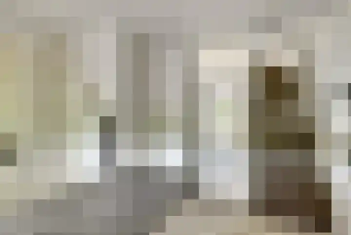 Dokter van Stratenweg 125 Gorinchem thumbnail 8