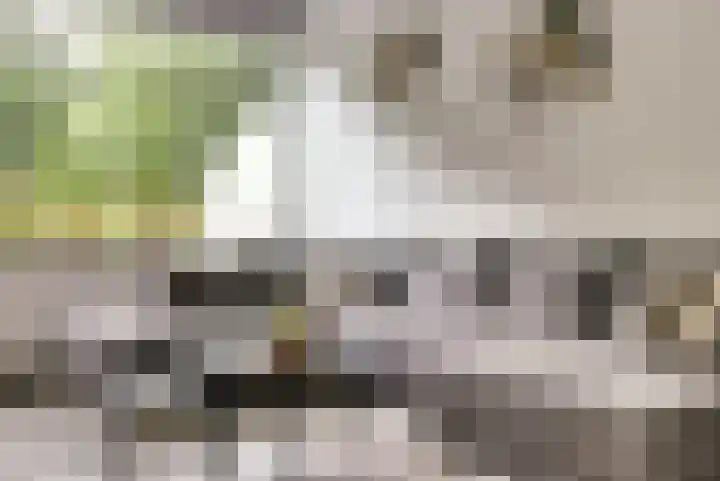 Dokter van Stratenweg 125 Gorinchem thumbnail 9