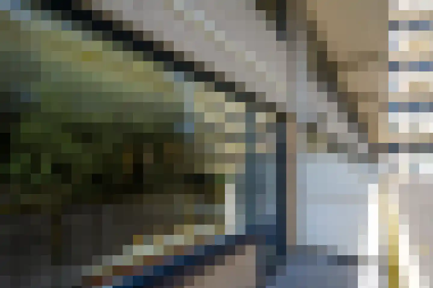 Dokter van Stratenweg 129 Gorinchem thumbnail 18