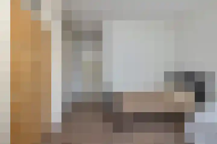 Dokter van Stratenweg 131 Gorinchem thumbnail 12