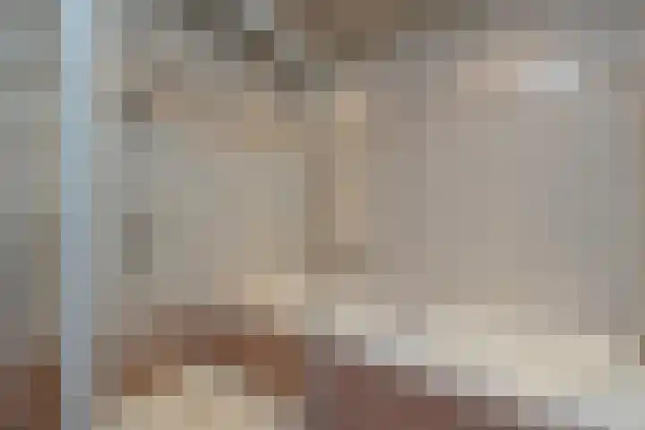 Dokter van Stratenweg 131 Gorinchem thumbnail 14