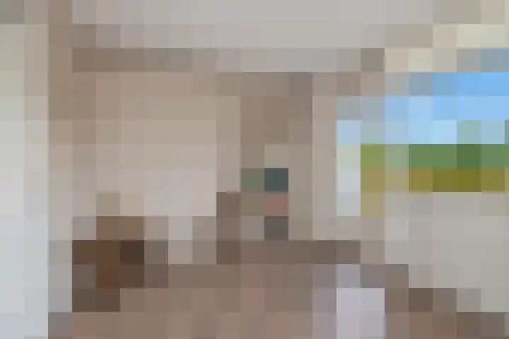 Dokter van Stratenweg 131 Gorinchem thumbnail 16