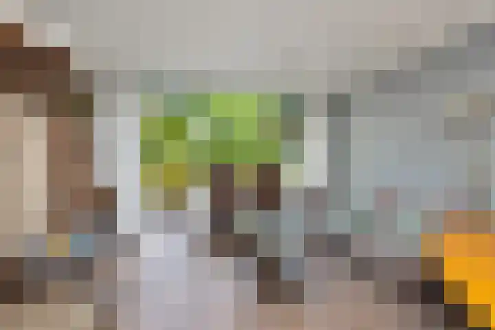 Dokter van Stratenweg 131 Gorinchem thumbnail 5