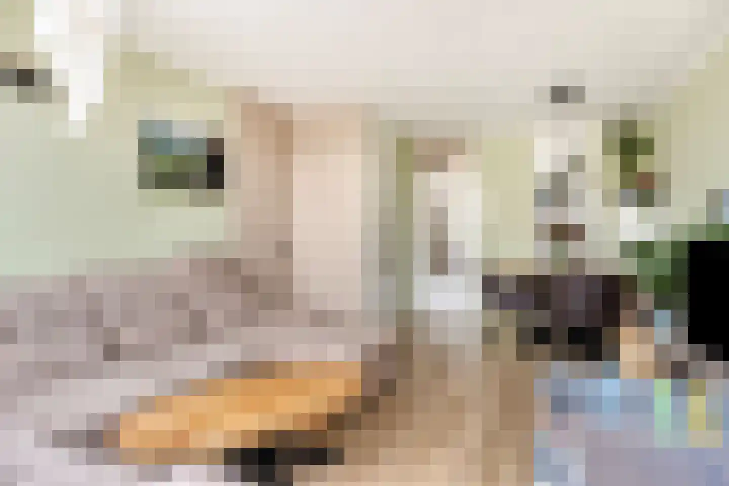 Dokter van Stratenweg 165 Gorinchem thumbnail 11