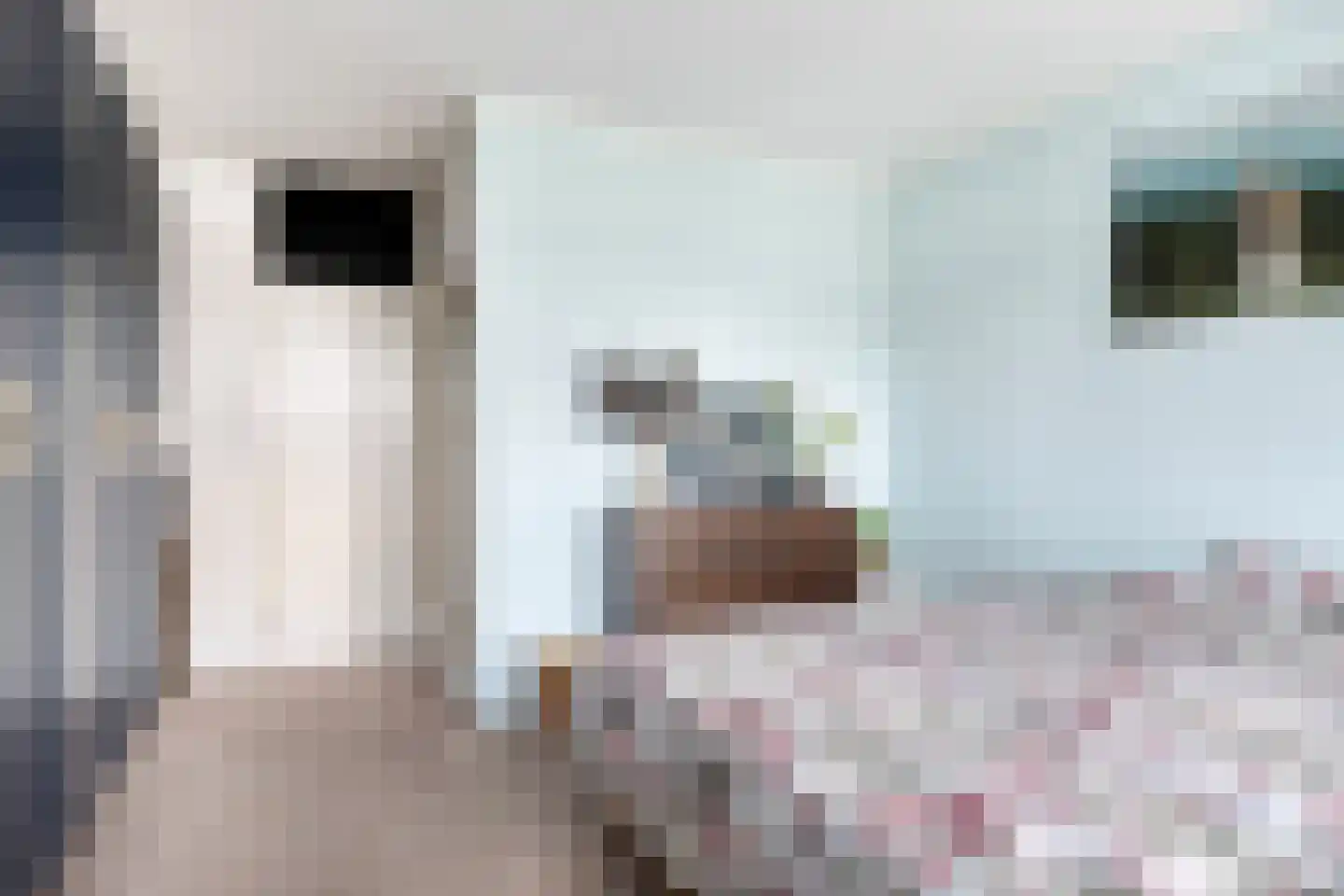 Dokter van Stratenweg 165 Gorinchem thumbnail 17