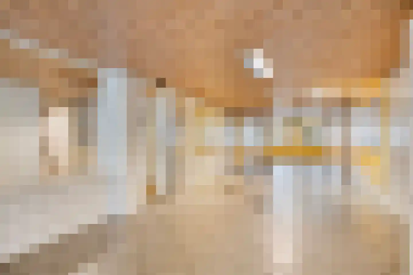 Dokter van Stratenweg 165 Gorinchem thumbnail 5