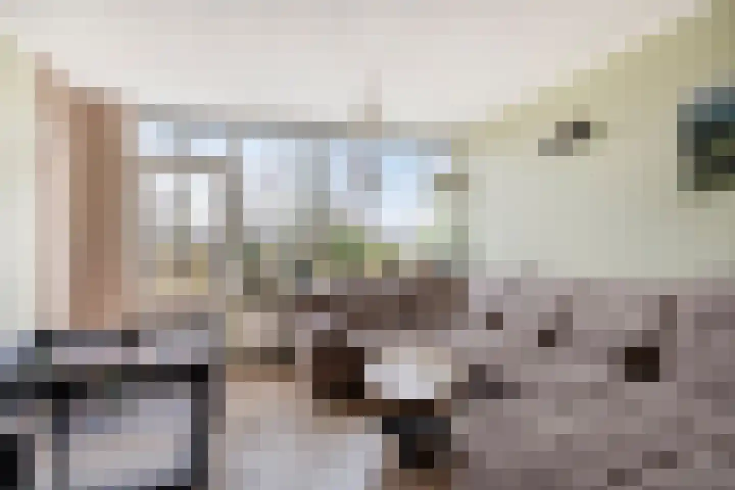 Dokter van Stratenweg 165 Gorinchem thumbnail 9