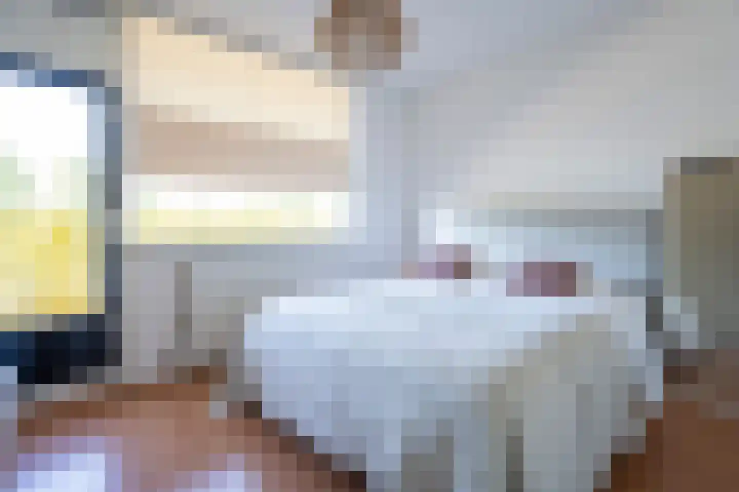 Dokter van Stratenweg 169 Gorinchem thumbnail 16