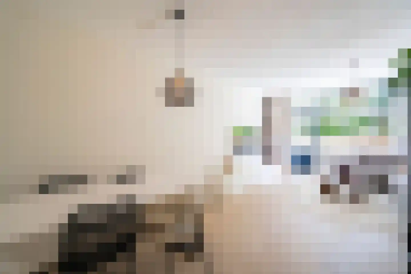 Dokter van Stratenweg 169 Gorinchem thumbnail 6