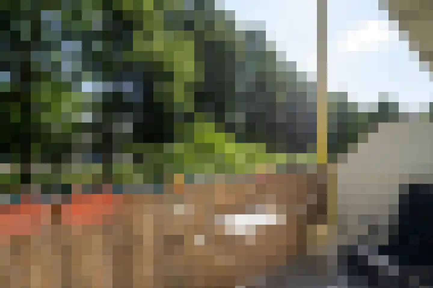 Dokter van Stratenweg 169 Gorinchem thumbnail 8