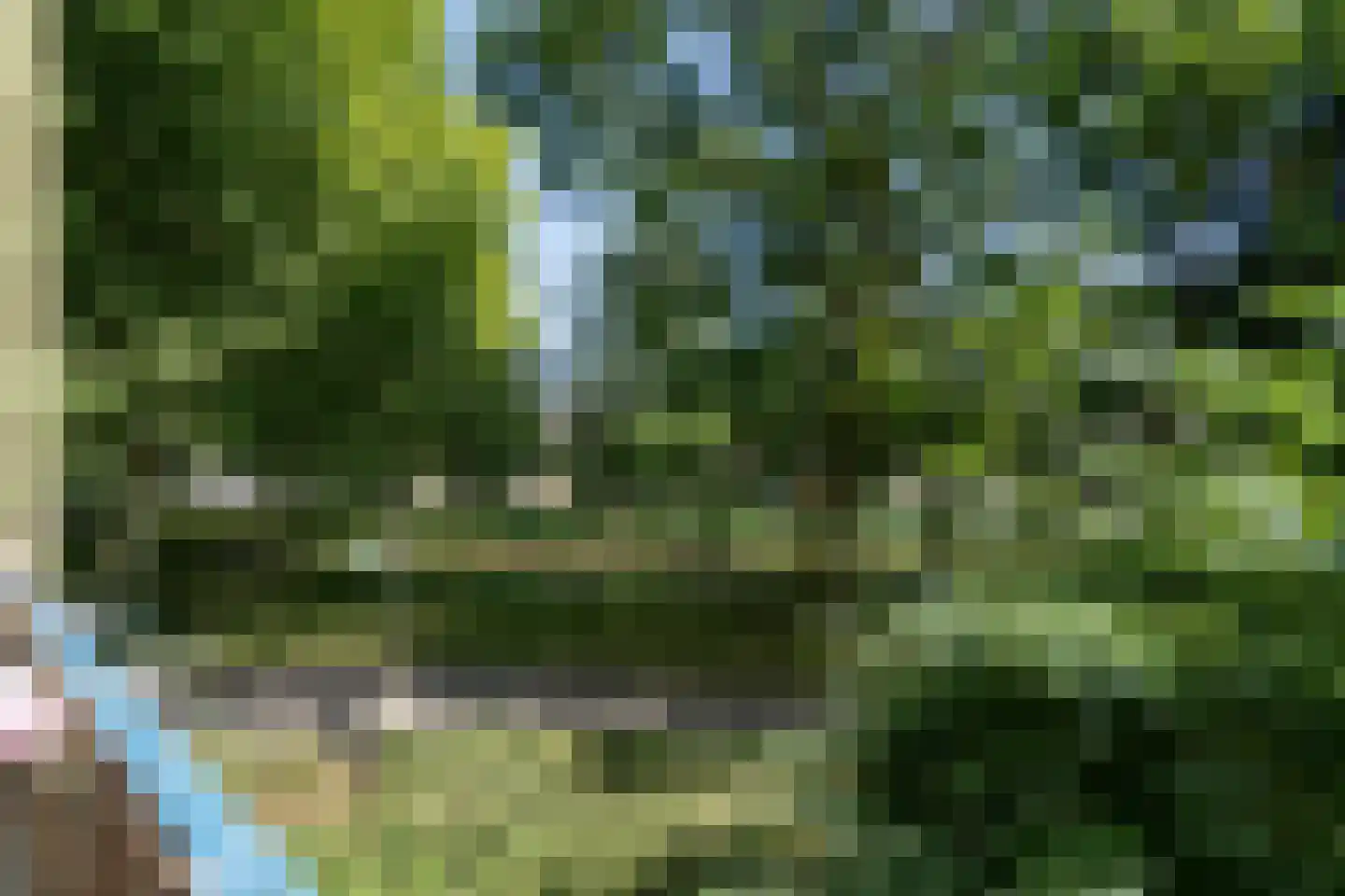 Dokter van Stratenweg 169 Gorinchem thumbnail 9