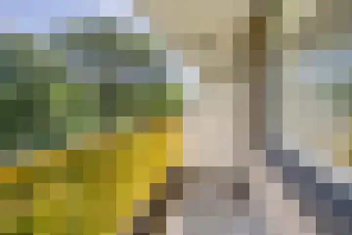 Dokter van Stratenweg 208 Gorinchem thumbnail 18