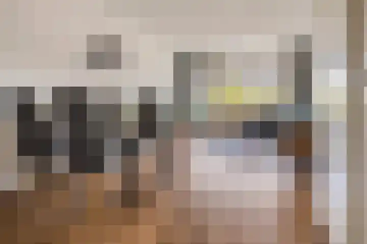 Dokter van Stratenweg 208 Gorinchem thumbnail 5