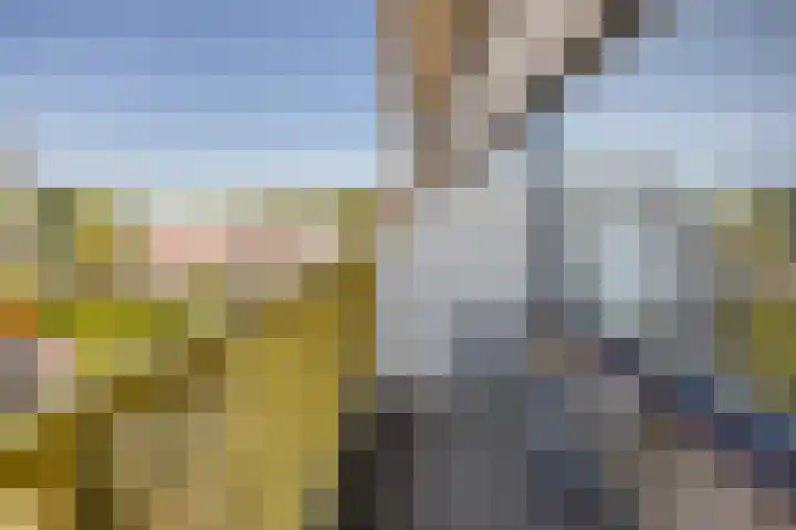 Dokter van Stratenweg 208 Gorinchem thumbnail 9
