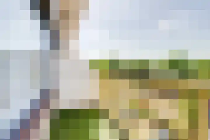 Dokter van Stratenweg 209 Gorinchem thumbnail 14