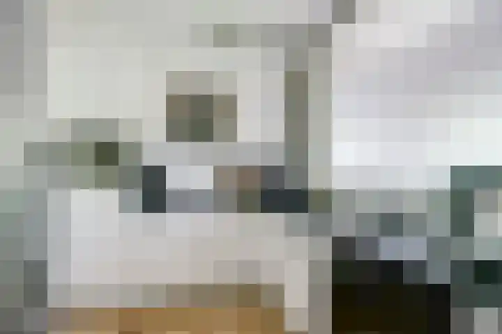 Dokter van Stratenweg 209 Gorinchem thumbnail 16