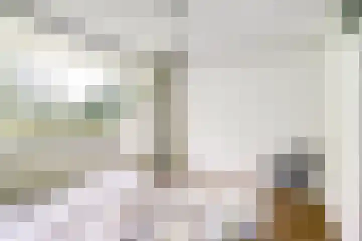 Dokter van Stratenweg 209 Gorinchem thumbnail 22