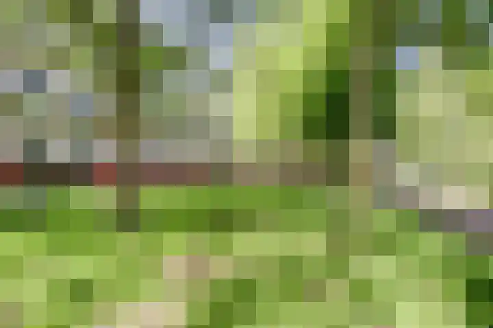 Dokter van Stratenweg 209 Gorinchem thumbnail 28
