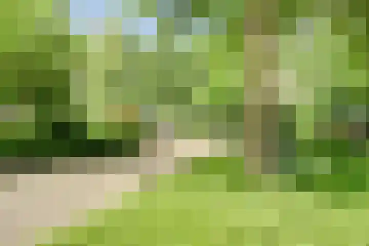 Dokter van Stratenweg 209 Gorinchem thumbnail 30