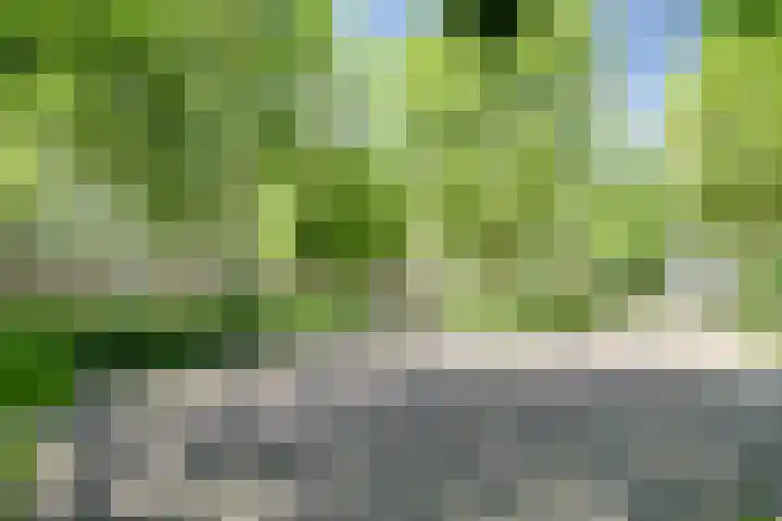 Dokter van Stratenweg 209 Gorinchem thumbnail 31