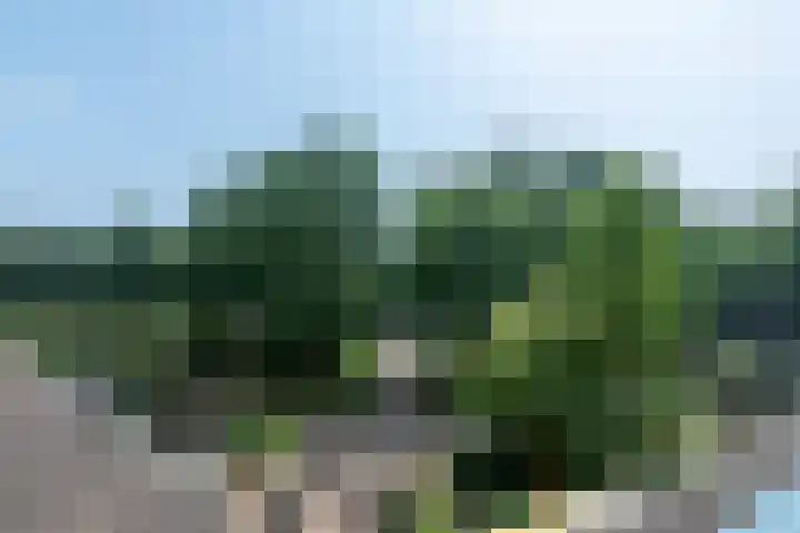 Dokter van Stratenweg 236 Gorinchem thumbnail 15