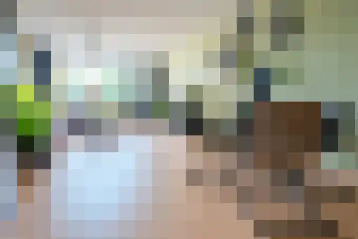 Dokter van Stratenweg 236 Gorinchem thumbnail 5