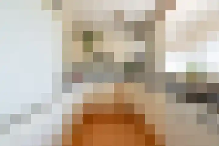 Dokter van Stratenweg 236 Gorinchem thumbnail 7