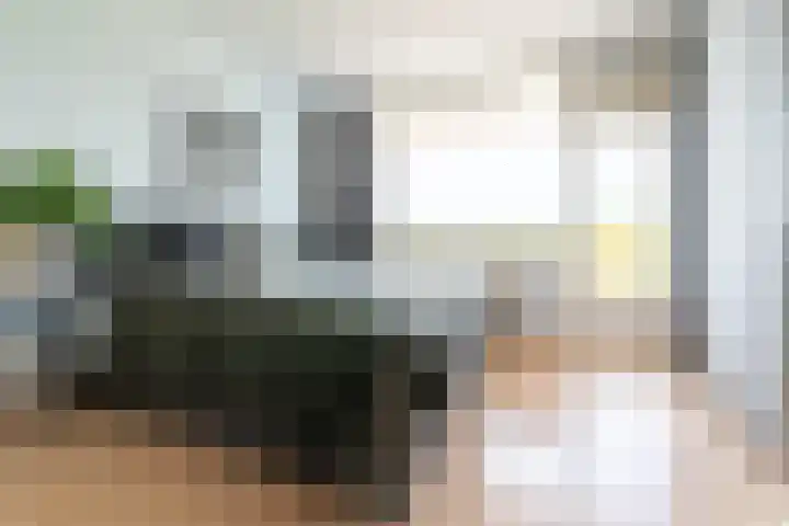 Dokter van Stratenweg 236 Gorinchem thumbnail 8