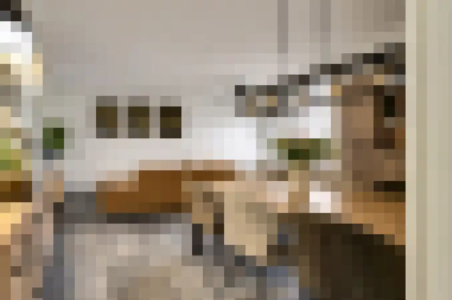 Dokter van Stratenweg 237 Gorinchem thumbnail 12