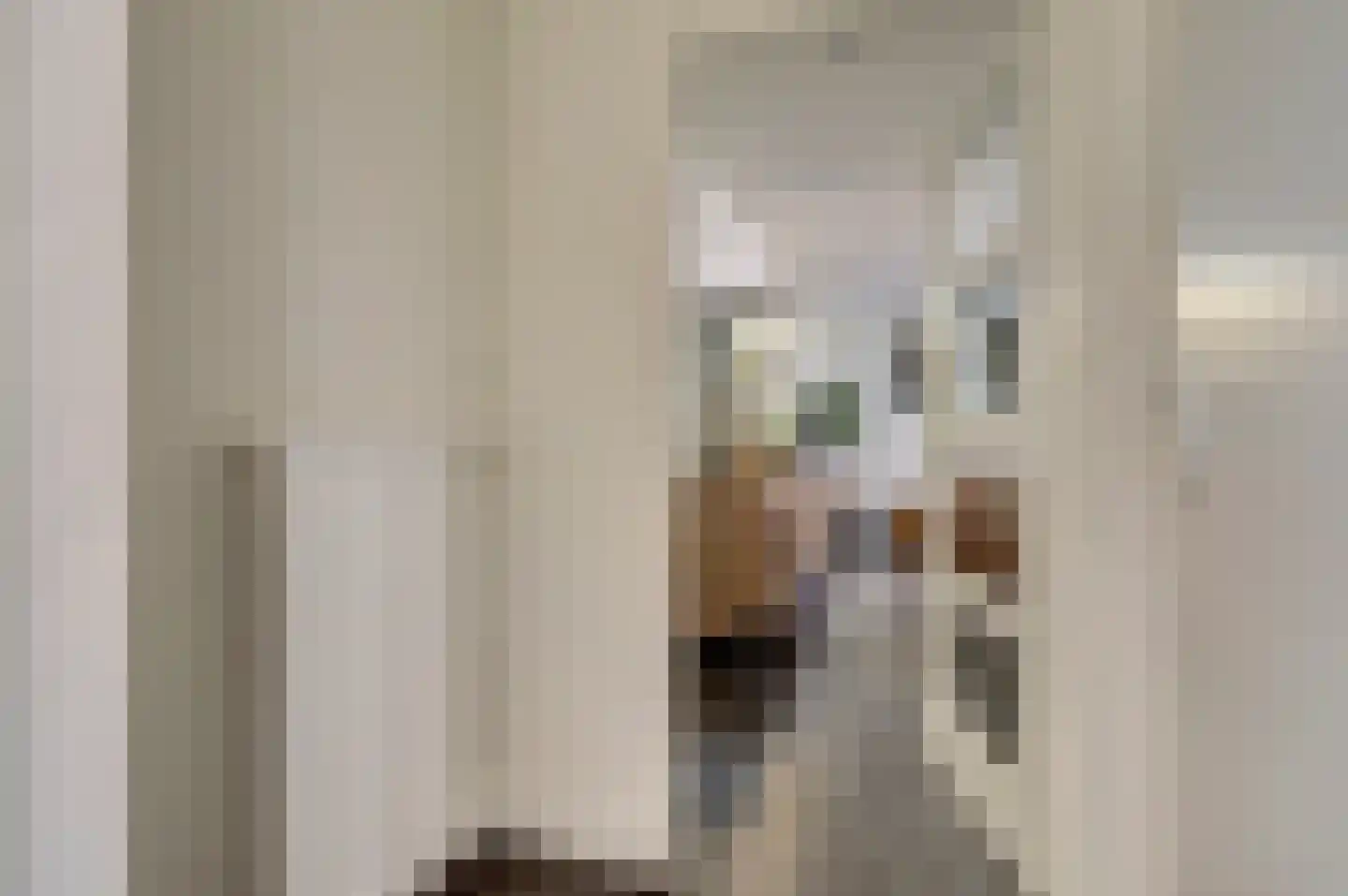 Dokter van Stratenweg 237 Gorinchem thumbnail 15