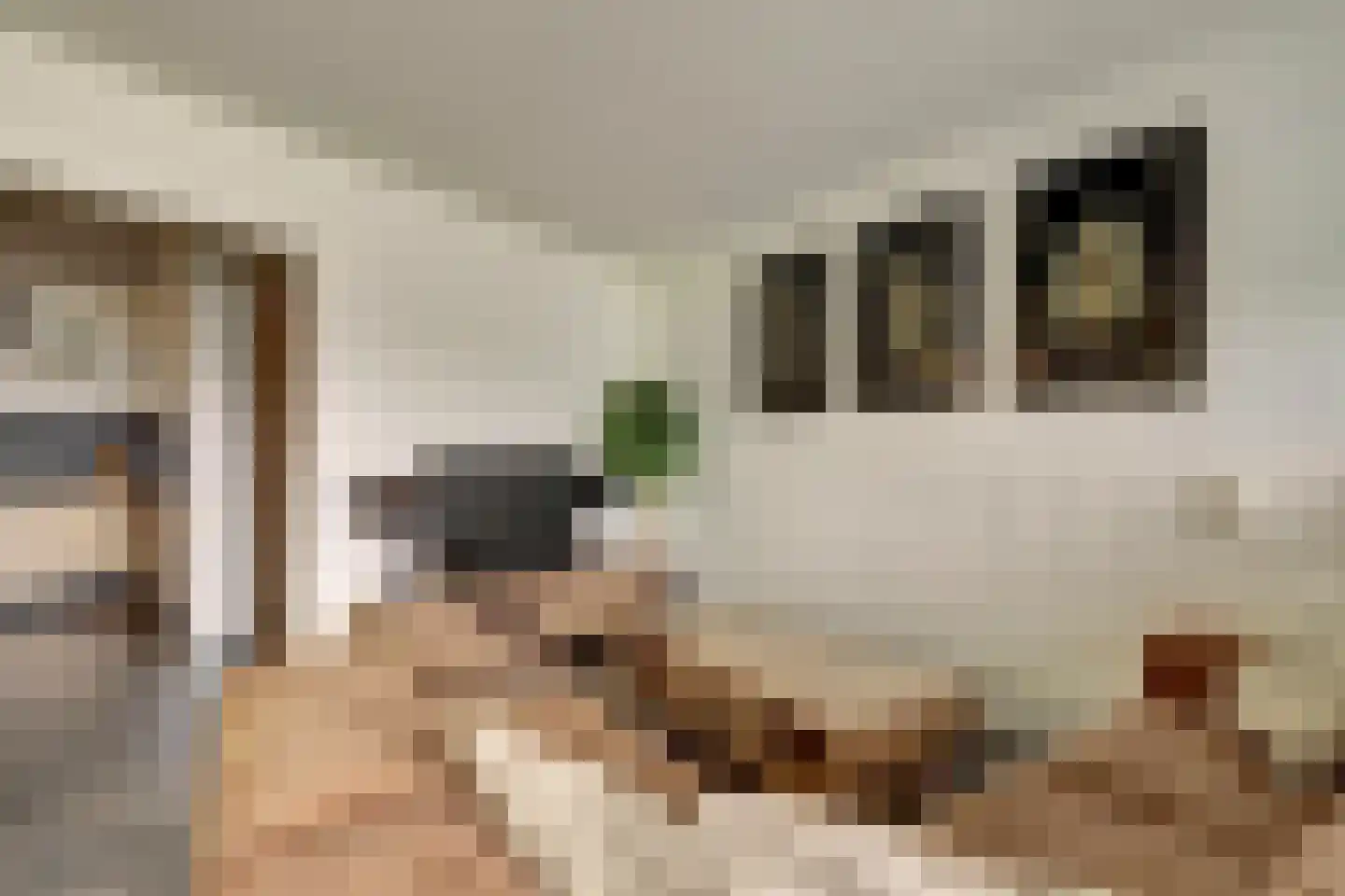Dokter van Stratenweg 237 Gorinchem thumbnail 16
