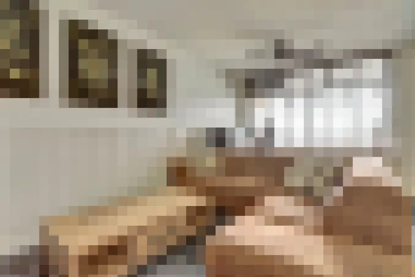 Dokter van Stratenweg 237 Gorinchem thumbnail 17