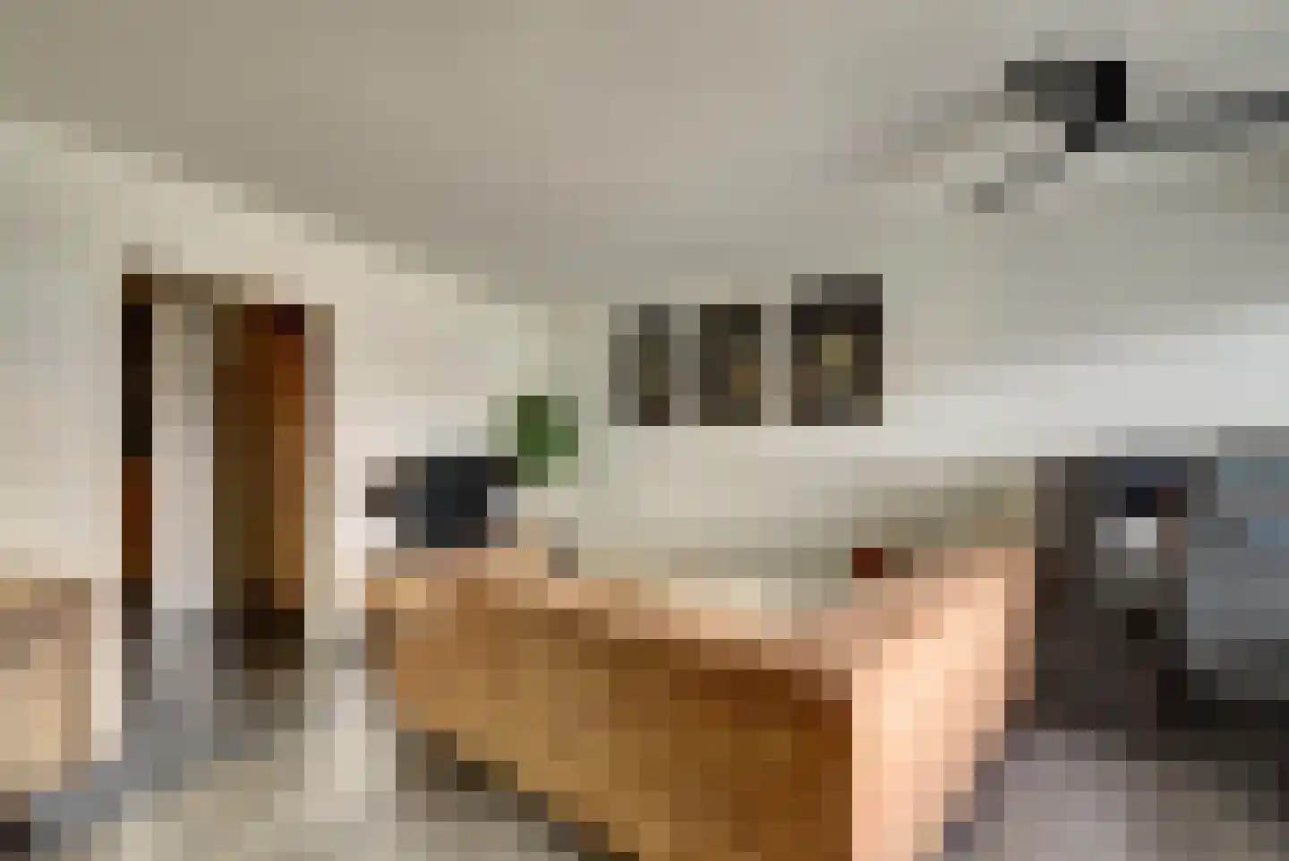 Dokter van Stratenweg 237 Gorinchem thumbnail 18