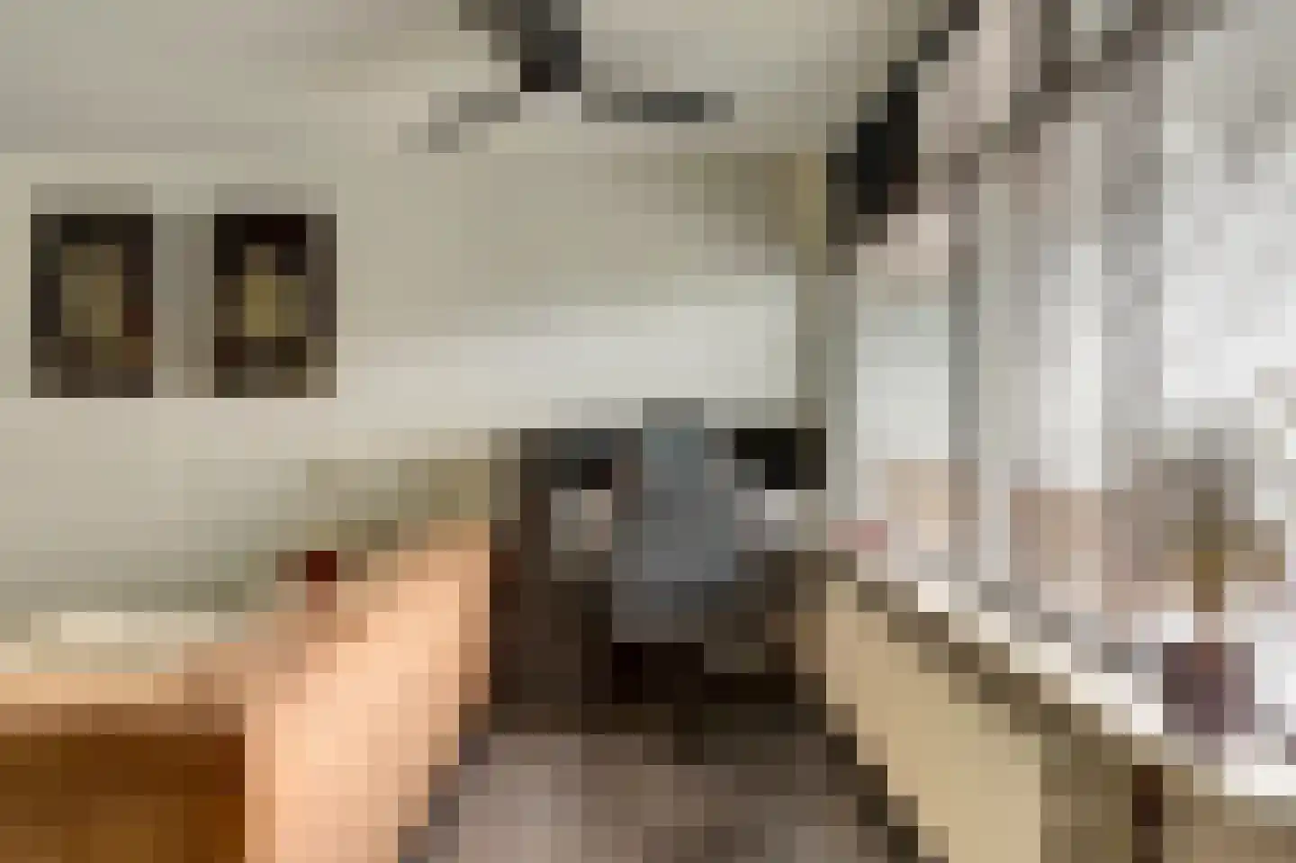 Dokter van Stratenweg 237 Gorinchem thumbnail 19