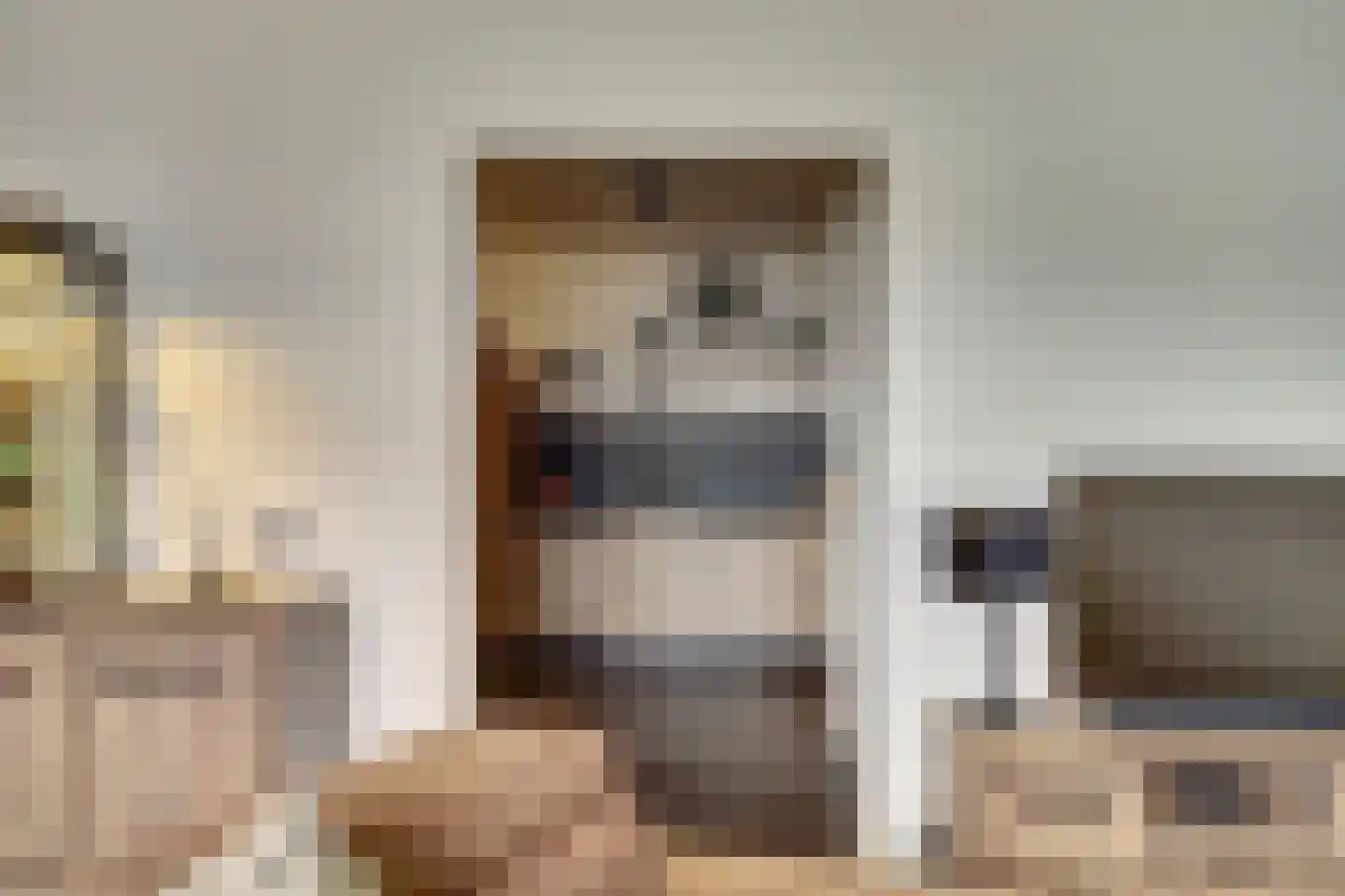 Dokter van Stratenweg 237 Gorinchem thumbnail 20